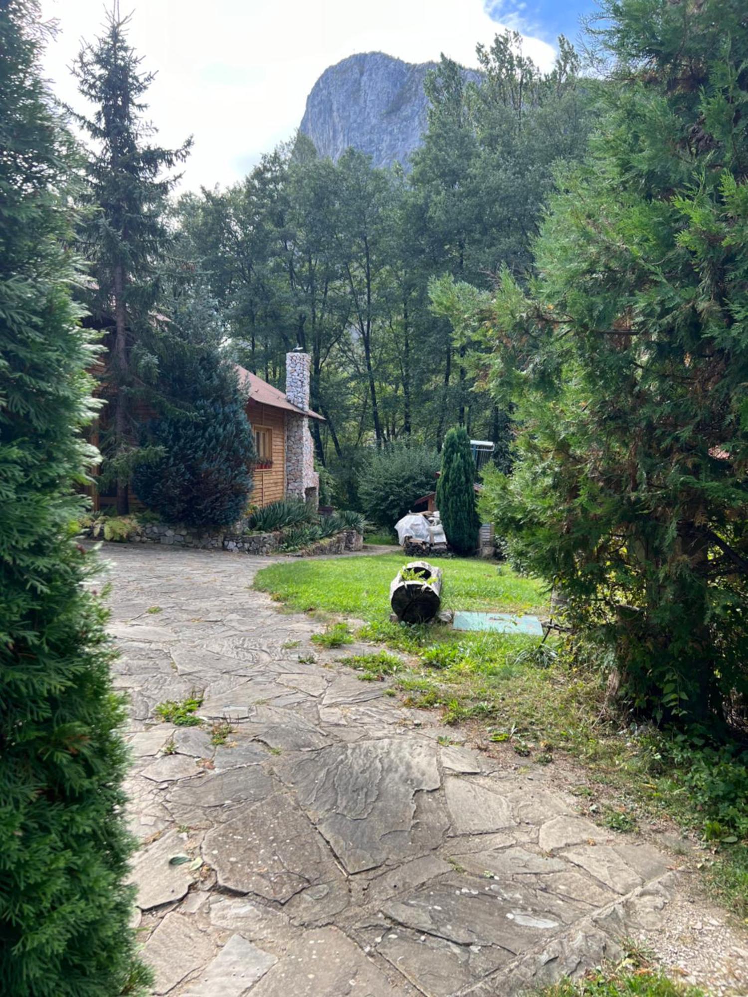 Studiouri Valisoara Екстер'єр фото