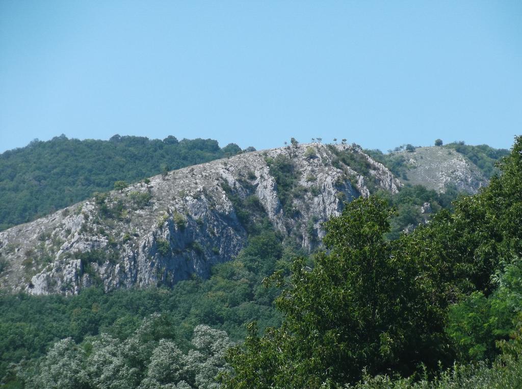 Studiouri Valisoara Номер фото