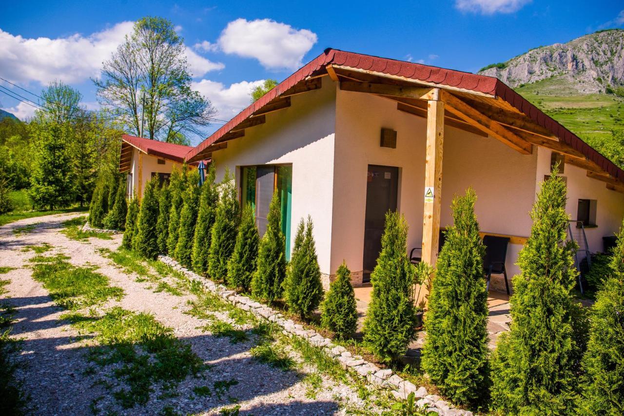 Studiouri Valisoara Екстер'єр фото